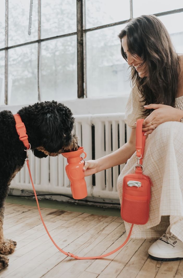 Paw Essentials